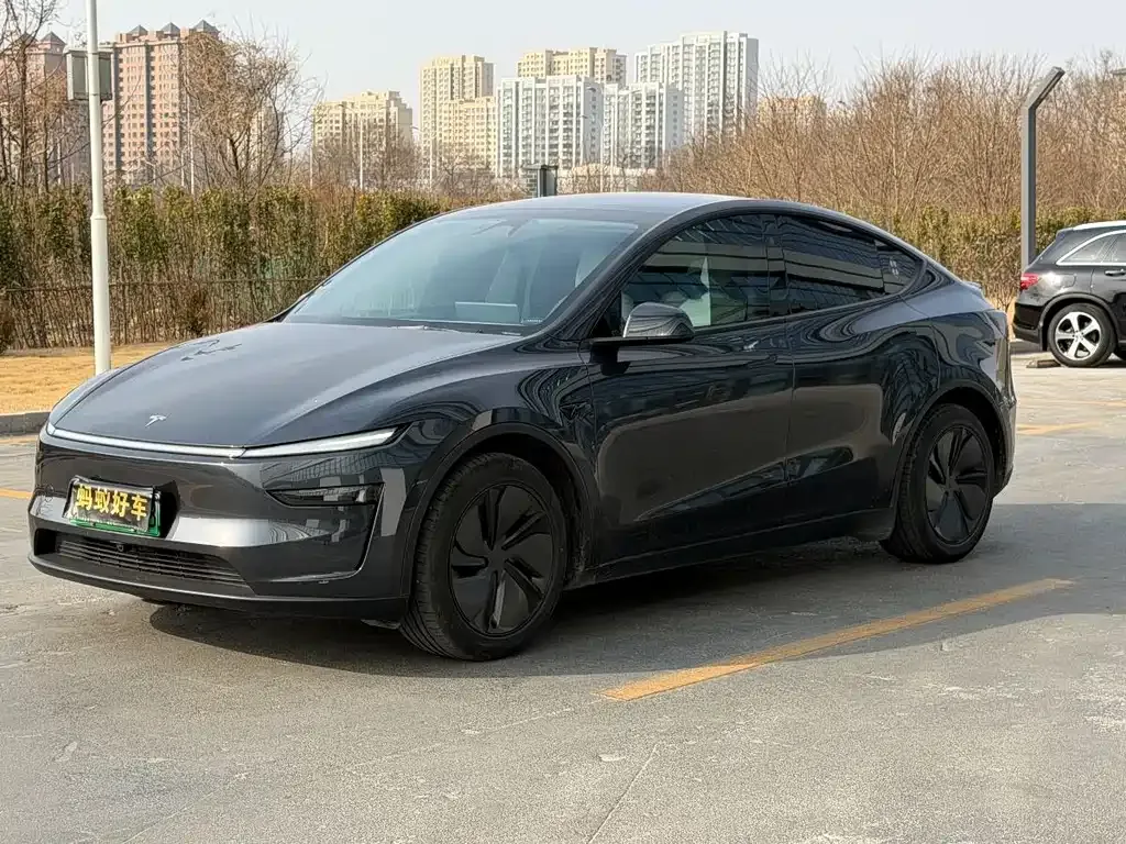 Tesla Model Y — фото 1