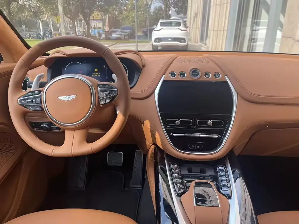 Aston Martin DBX 2025 из CN, фото 6