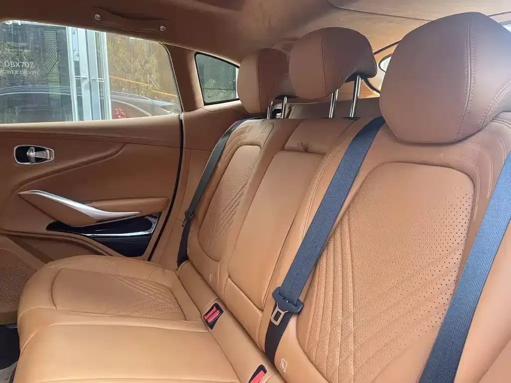 Aston Martin DBX 2025 из CN, фото 2
