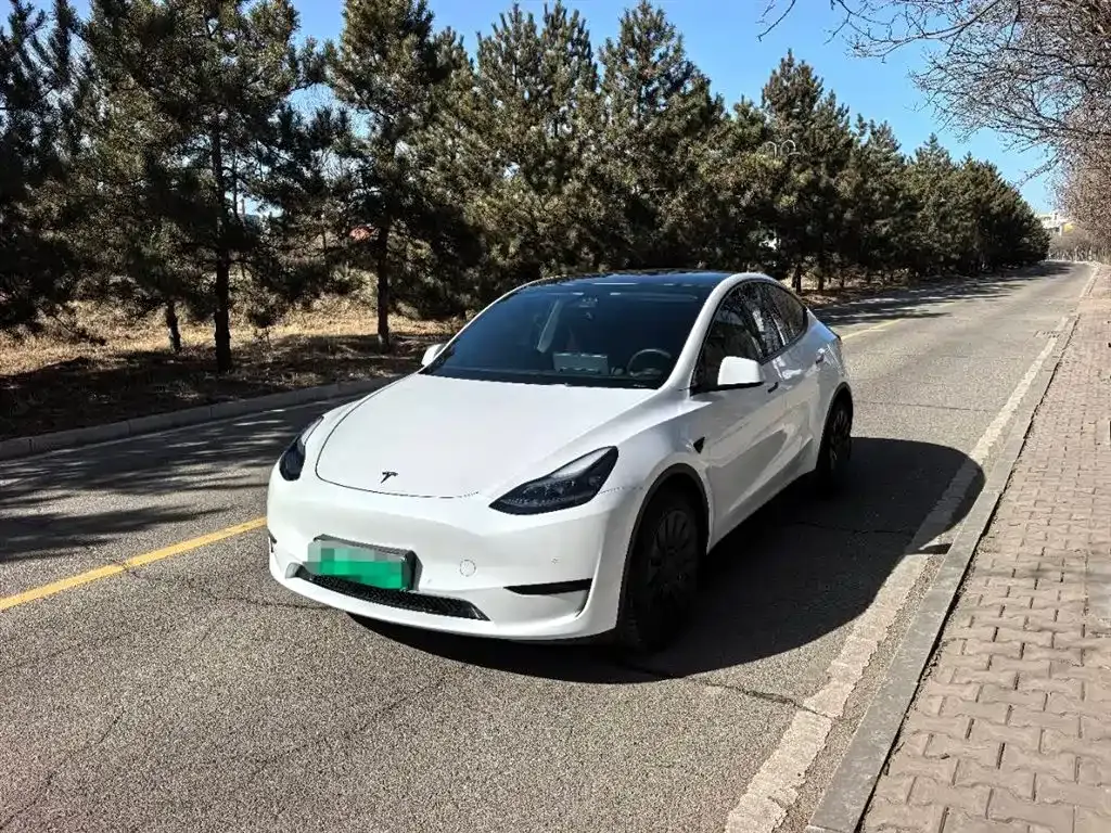Tesla Model Y 2023 из CN, фото 1