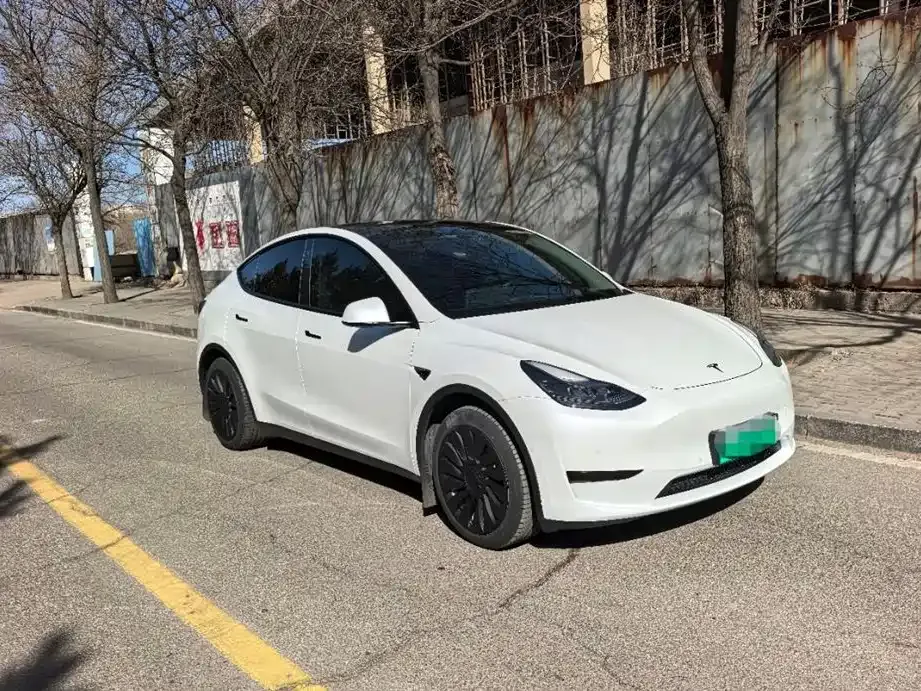 Tesla Model Y 2023 из CN, фото 6