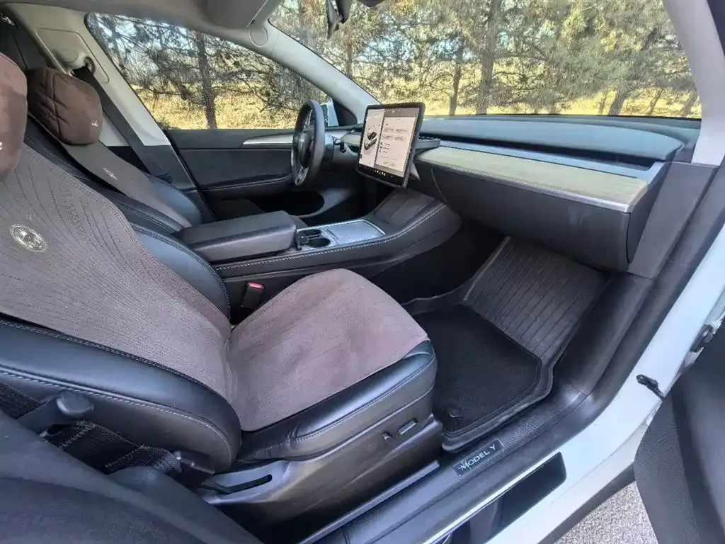 Tesla Model Y 2023 из CN, фото 4