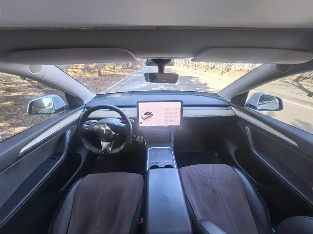 Tesla Model Y 2023 из CN, фото 2