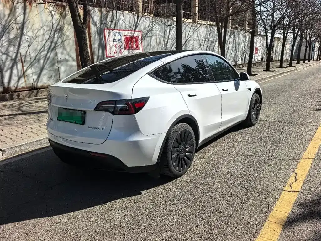 Tesla Model Y 2023 из CN, фото 9