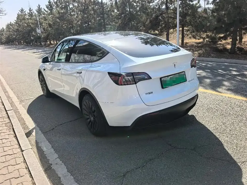 Tesla Model Y 2023 из CN, фото 5