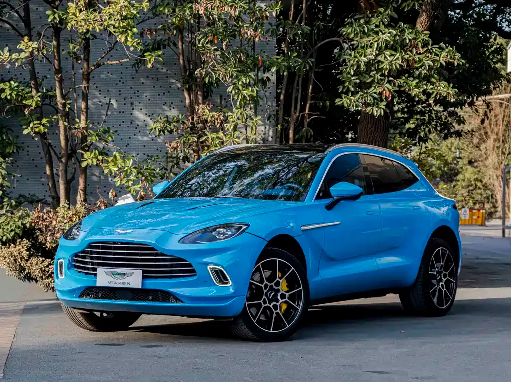 Aston Martin DBX 2021 из CN, фото 1