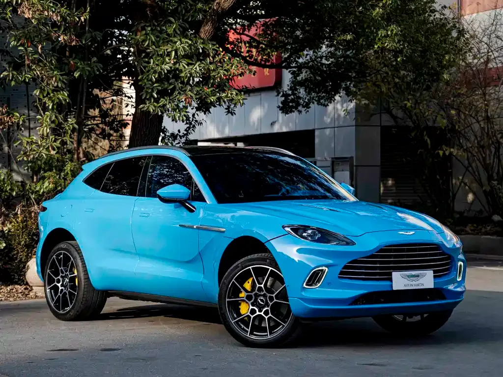 Aston Martin DBX 2021 из CN, фото 9