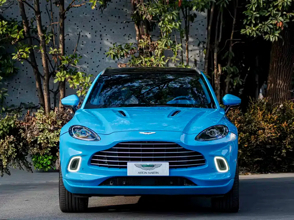 Aston Martin DBX 2021 из CN, фото 8