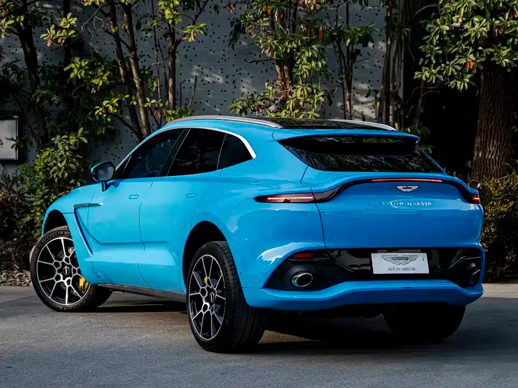 Aston Martin DBX 2021 из CN, фото 10