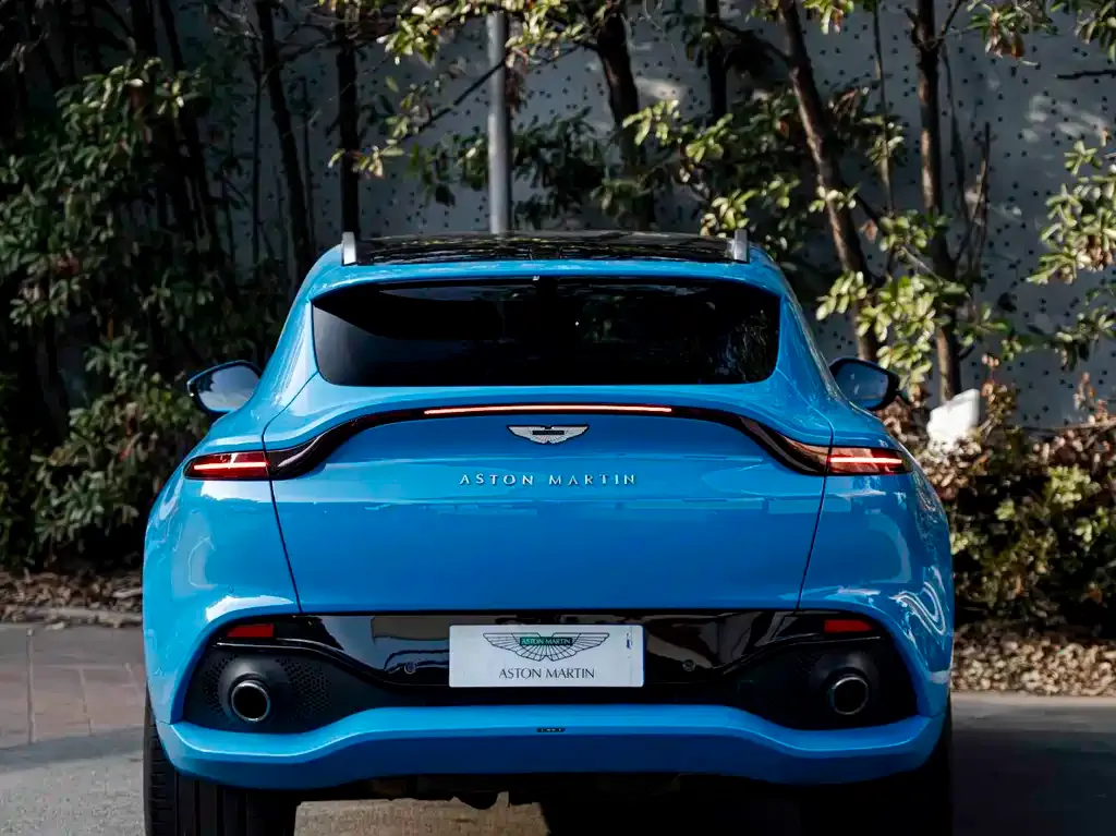 Aston Martin DBX 2021 из CN, фото 6