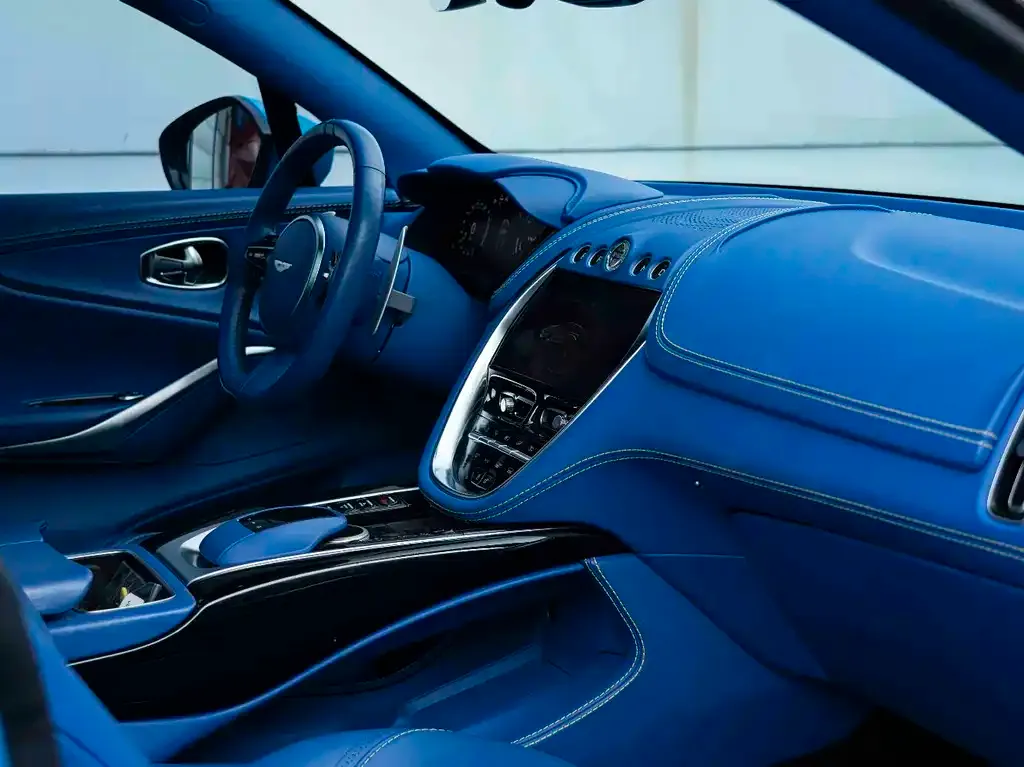 Aston Martin DBX 2021 из CN, фото 3