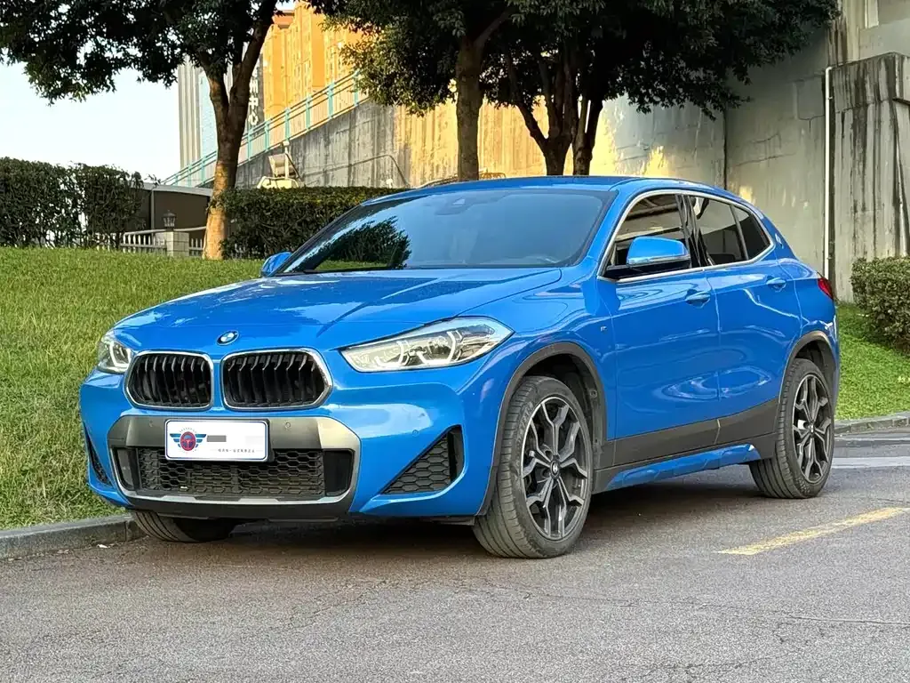 BMW X2 2021 из CN, фото 1