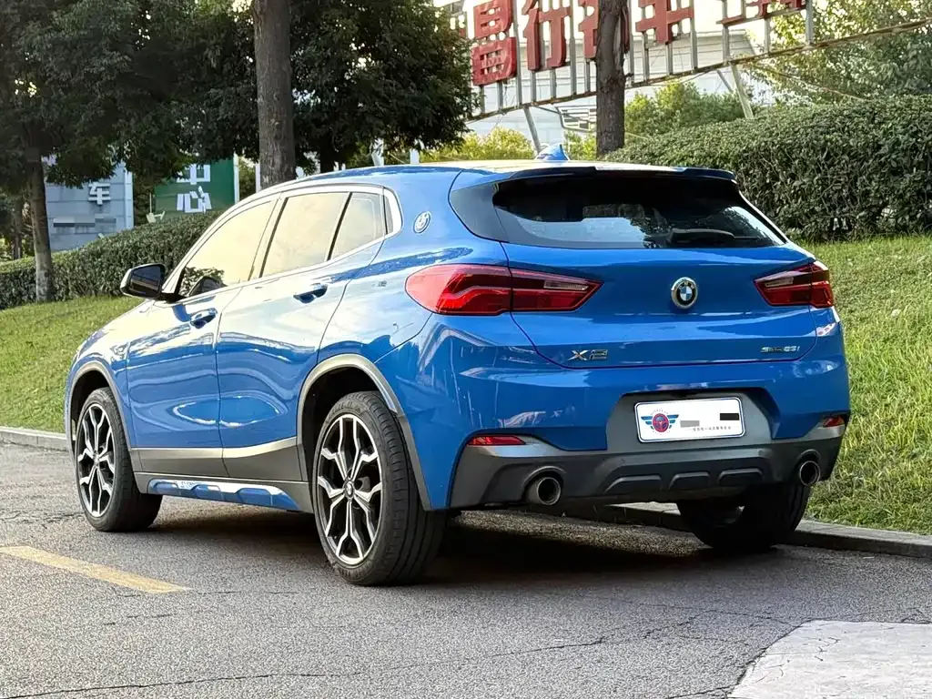BMW X2 2021 из CN, фото 4