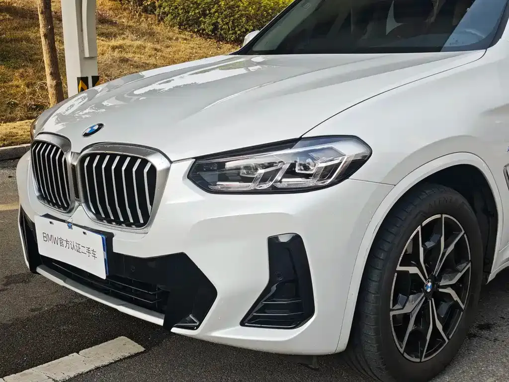 BMW X3 2023 из CN, фото 6