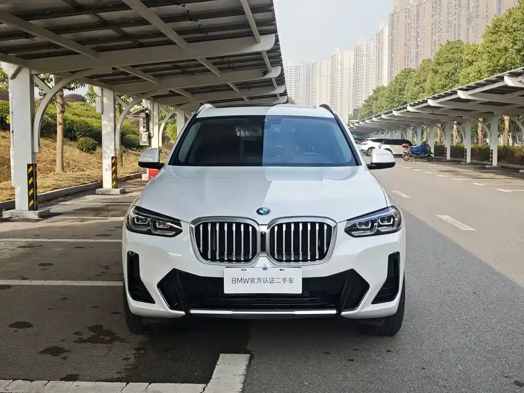 BMW X3 2023 из CN, фото 3