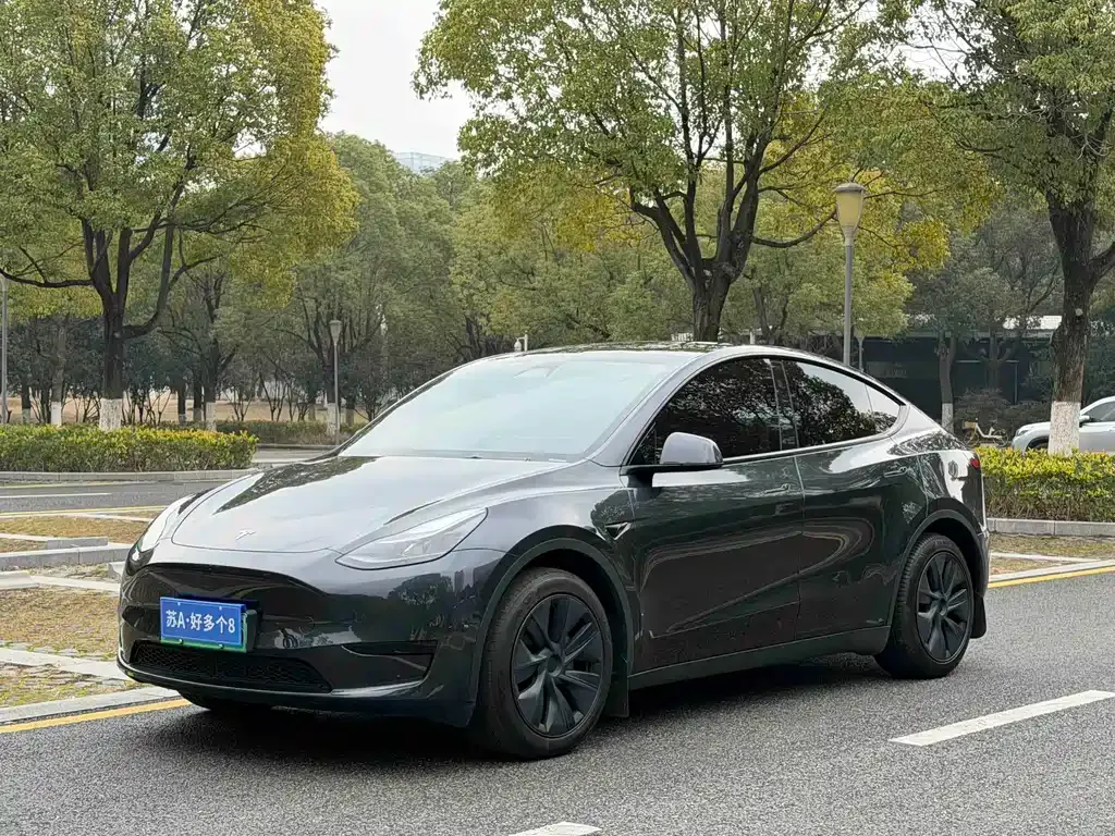 Tesla Model Y 2024 из CN, фото 1