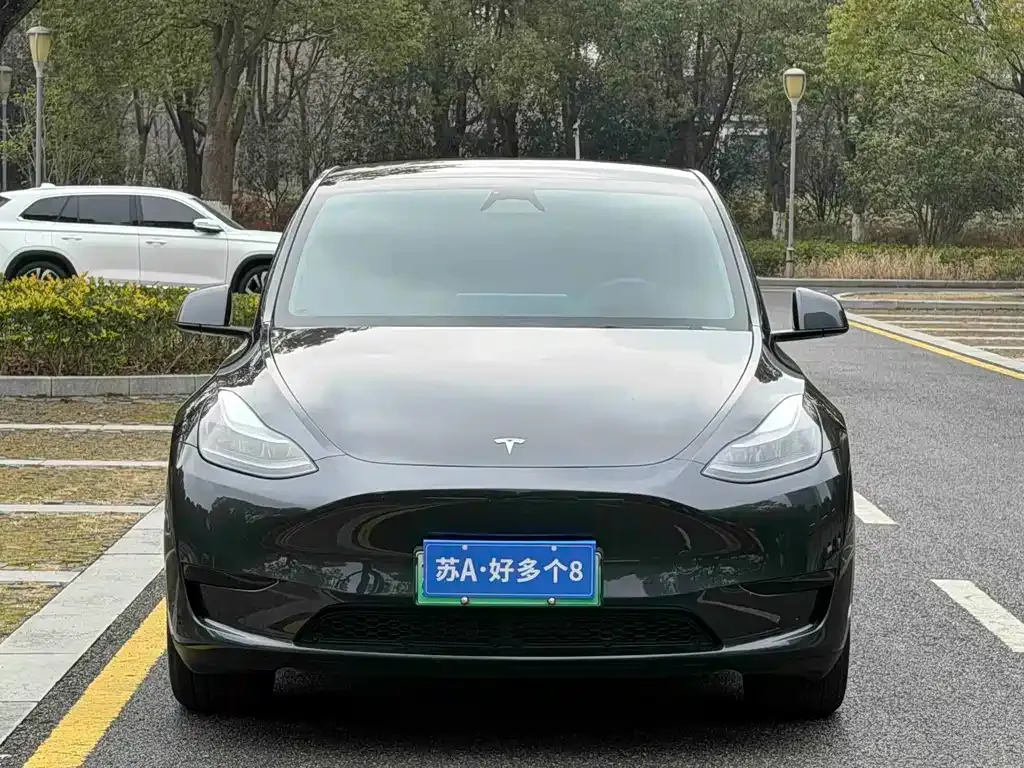 Tesla Model Y 2024 из CN, фото 5