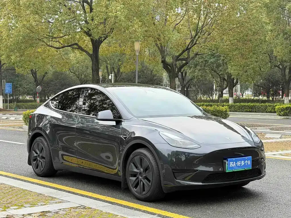 Tesla Model Y 2024 из CN, фото 7