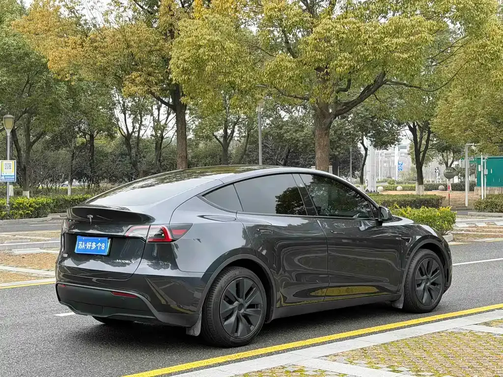 Tesla Model Y 2024 из CN, фото 9