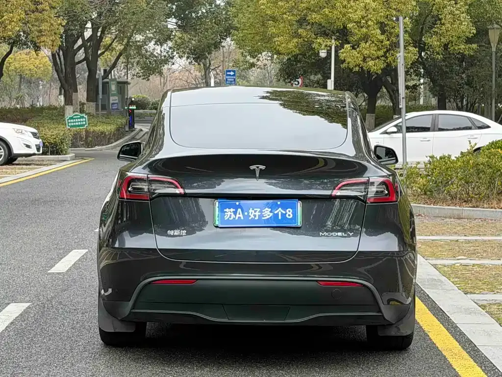 Tesla Model Y 2024 из CN, фото 8
