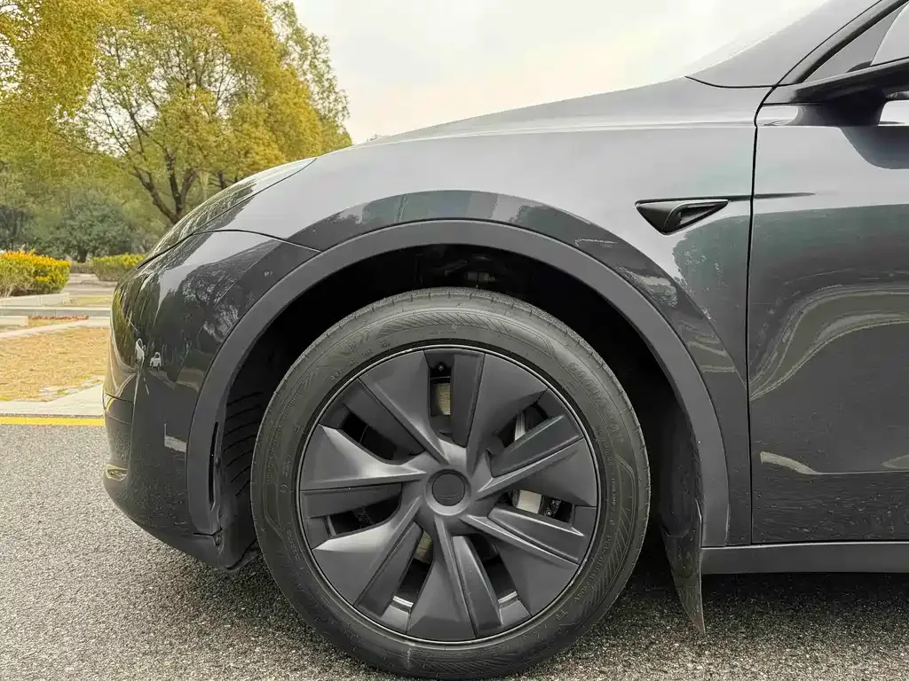 Tesla Model Y 2024 из CN, фото 4