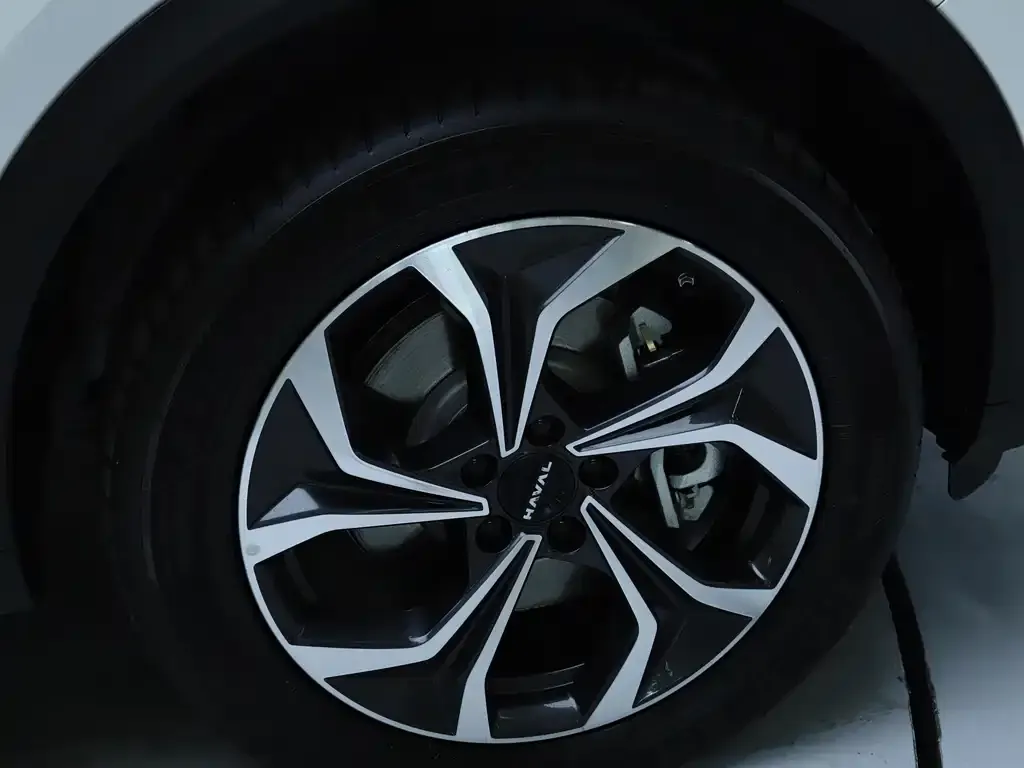 Haval Xiaolong MAX 2025 из CN, фото 5