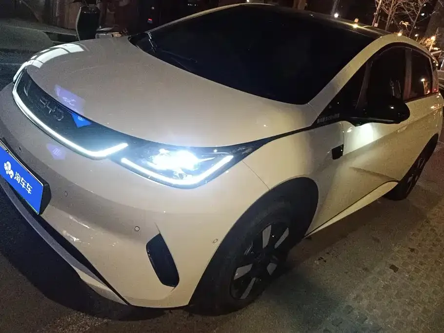 BYD Dolphin 2025 из CN, фото 1