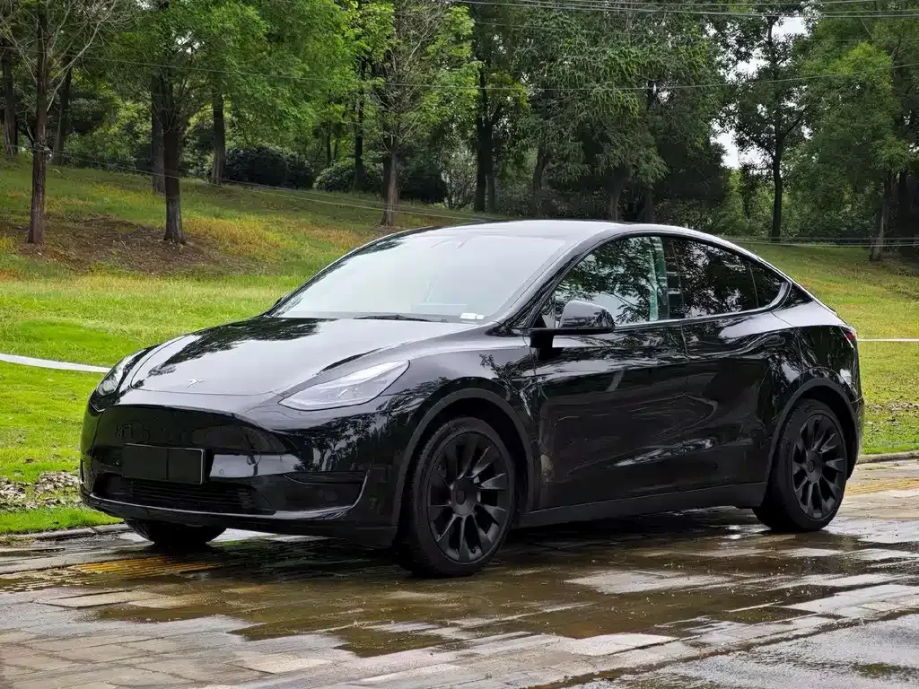 Tesla Model Y 2023 из CN, фото 1