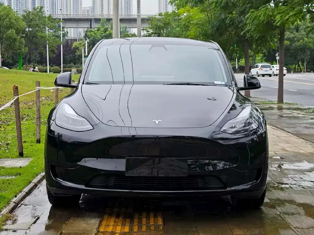 Tesla Model Y 2023 из CN, фото 5