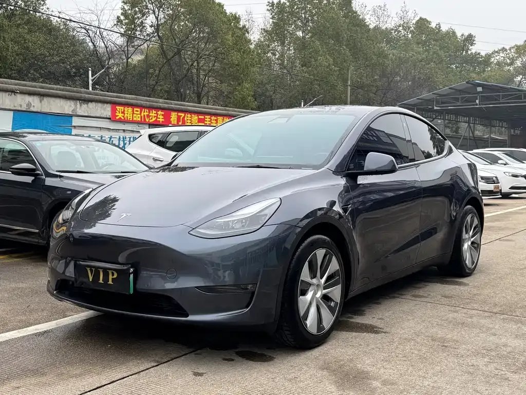 Tesla Model Y — фото 1