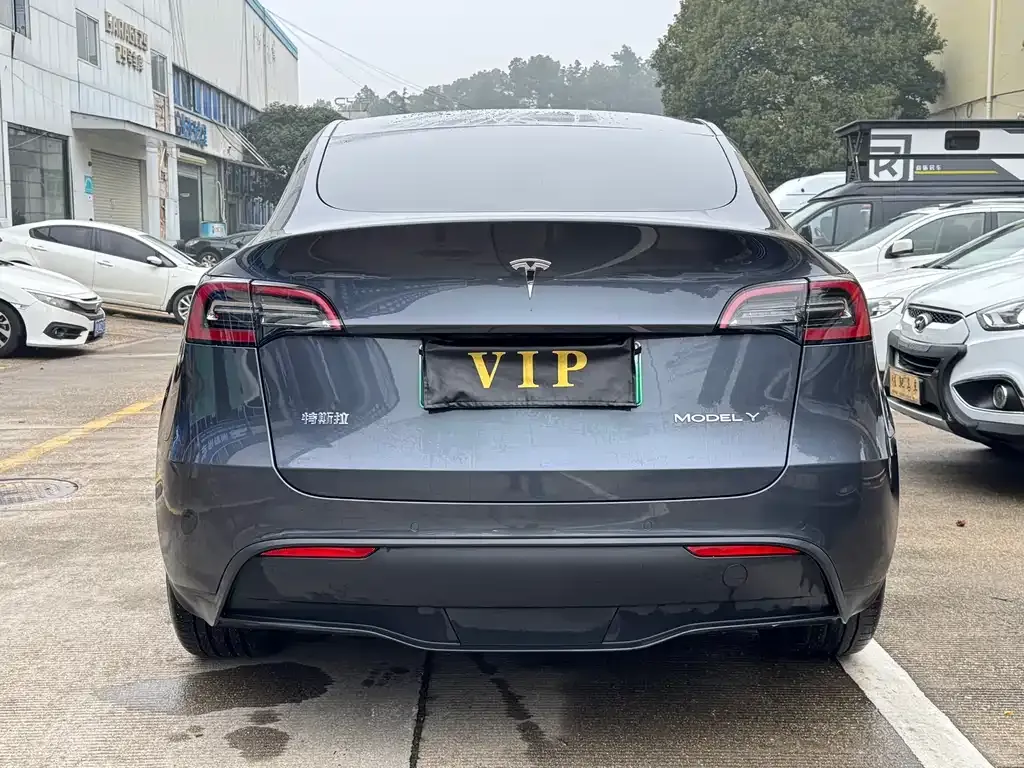 Tesla Model Y — фото 10