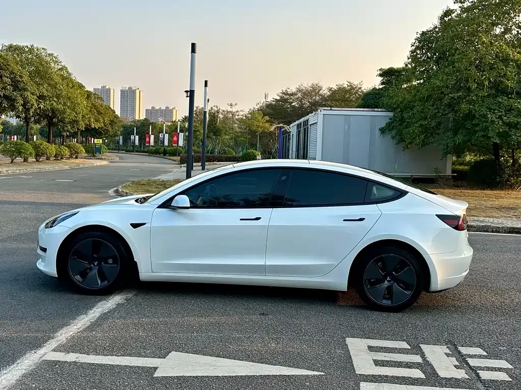 Tesla Model 3 — фото 2
