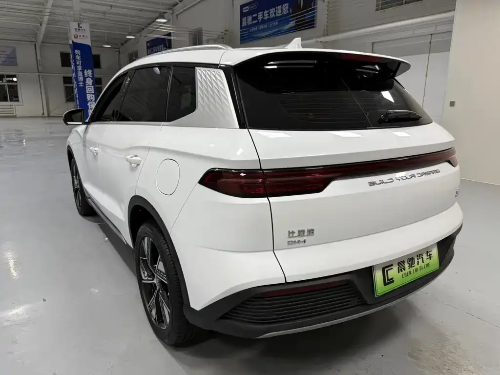 BYD Pro New Energy — фото 9