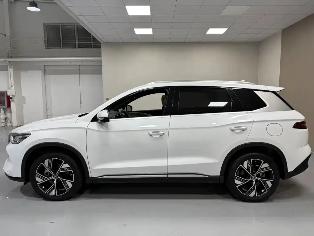 BYD Pro New Energy — фото 2