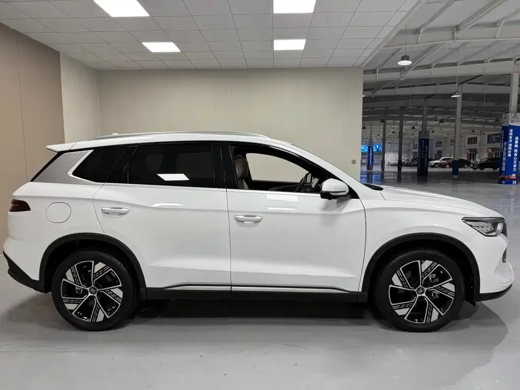 BYD Pro New Energy — фото 4