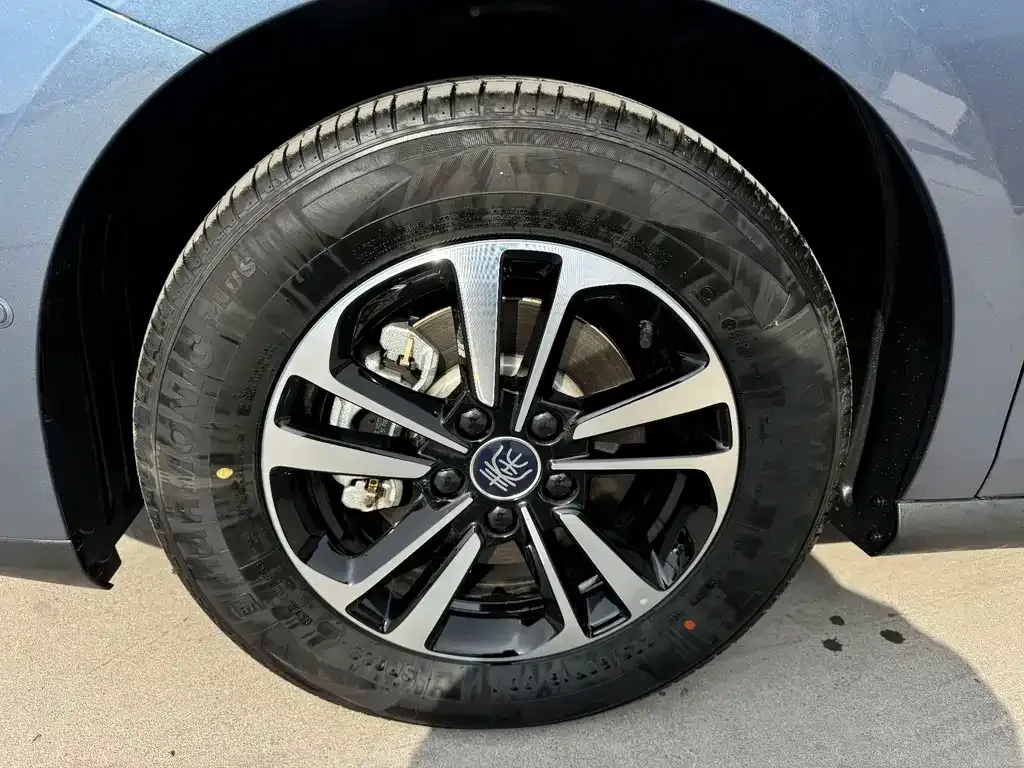 BYD Qin PLUS 2025 из CN, фото 5