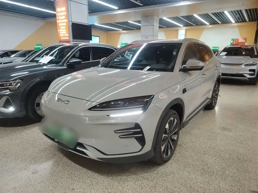 BYD PLUS New Energy 2025 из CN, фото 10