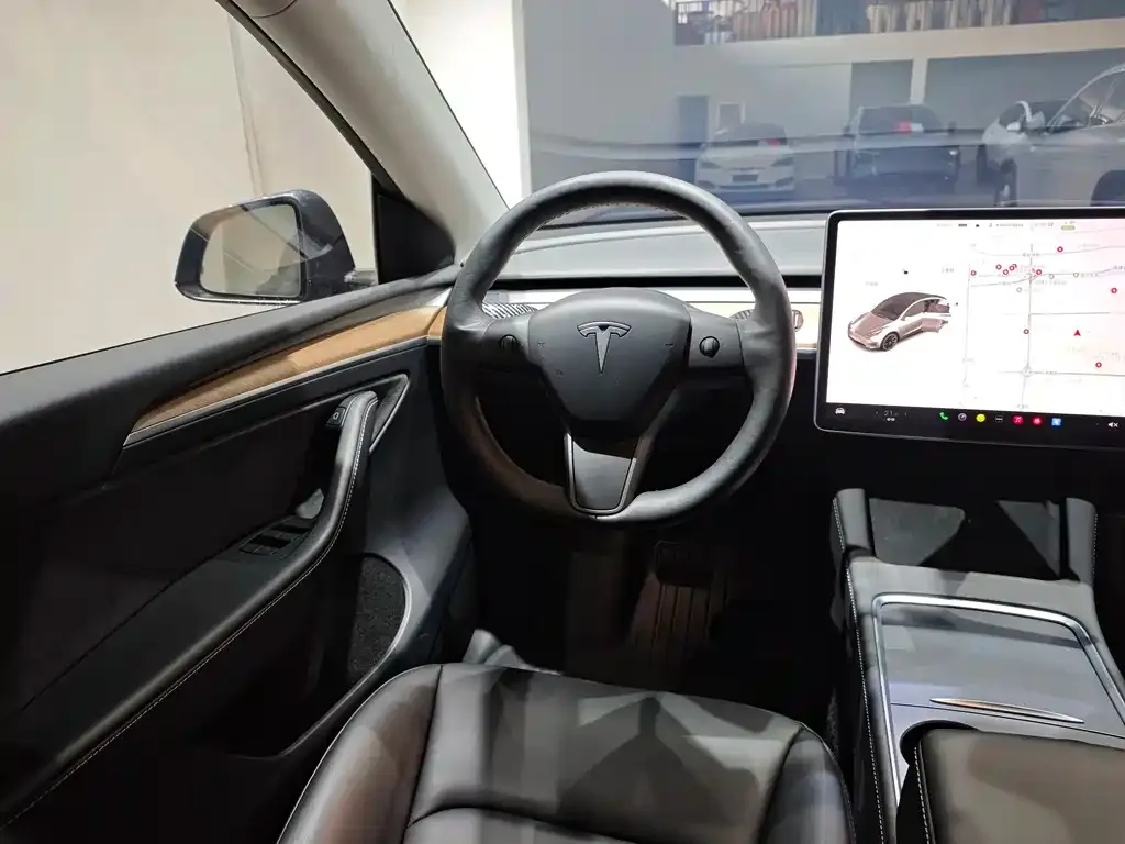 Tesla Model Y — фото 10