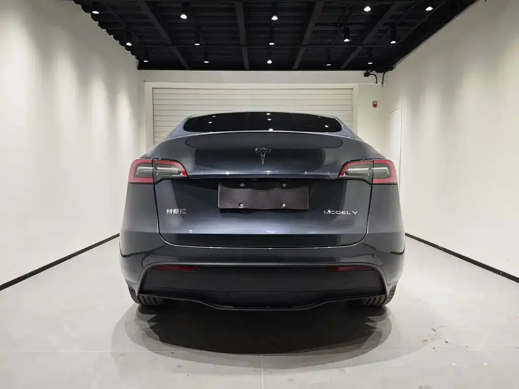 Tesla Model Y — фото 6