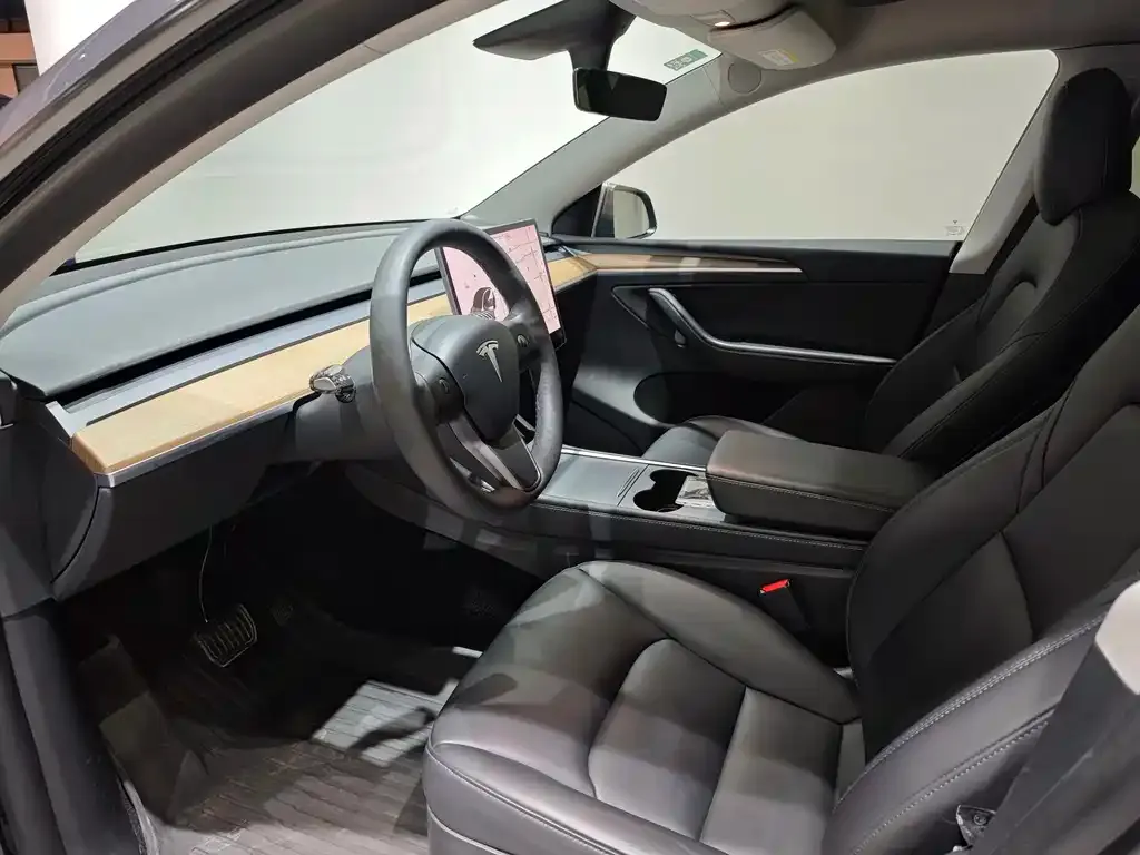 Tesla Model Y — фото 8