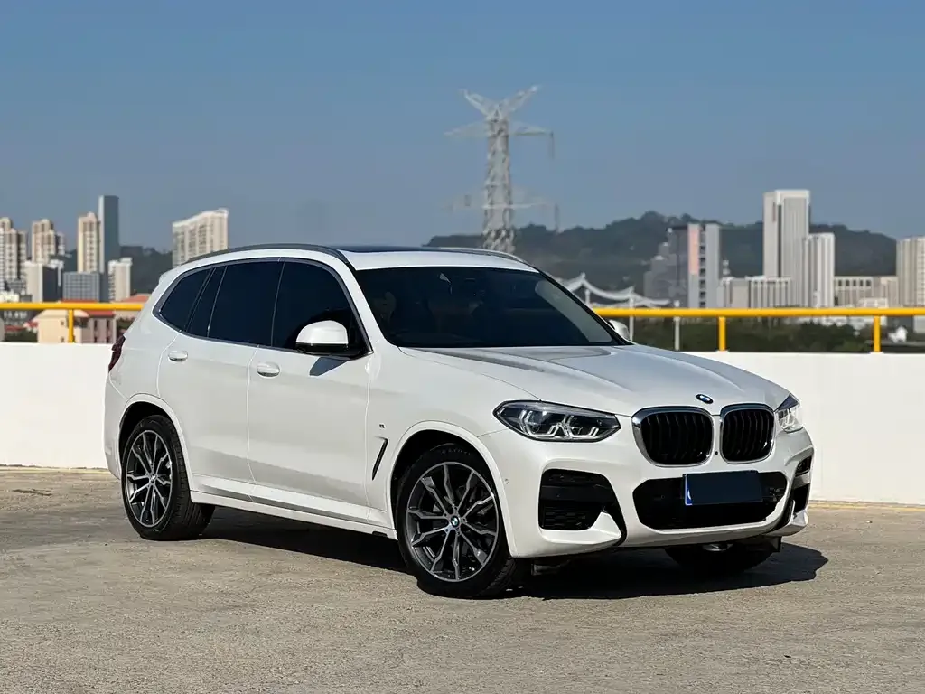 BMW X3 2021 из CN, фото 4