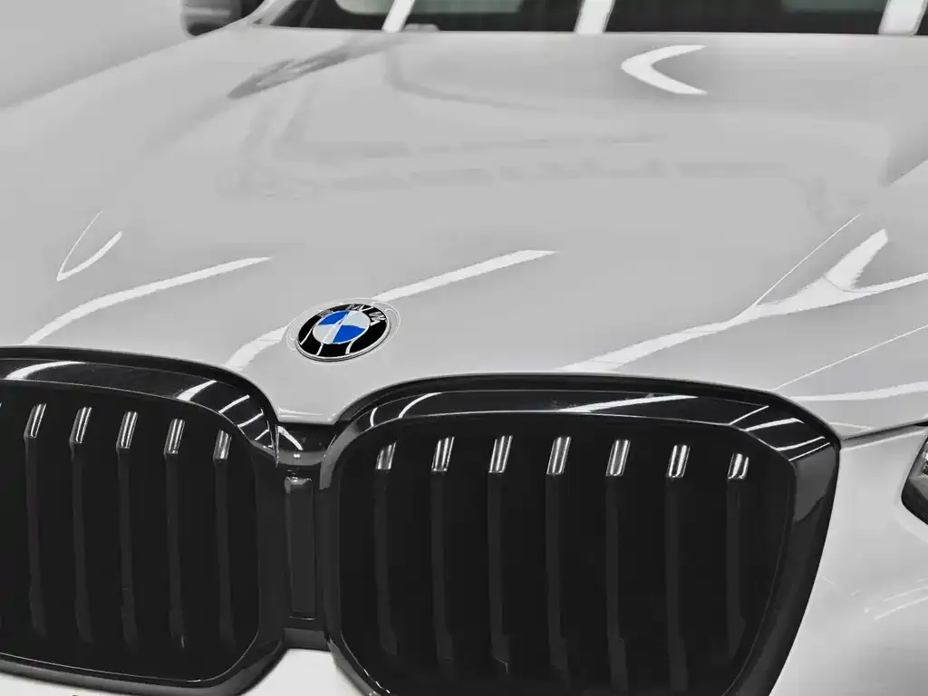 BMW X3 2022 из CN, фото 6