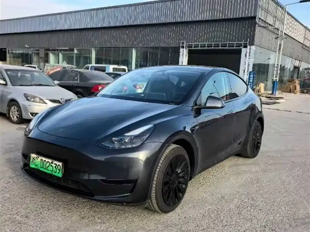 Tesla Model Y — фото 1