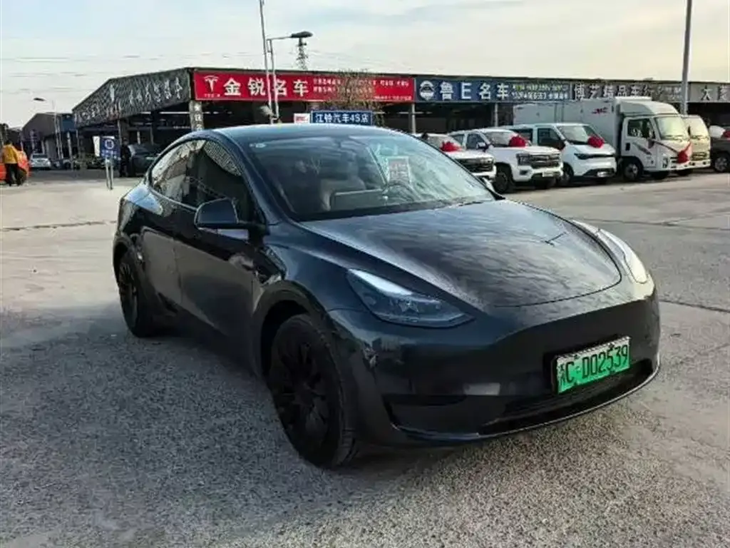 Tesla Model Y — фото 5