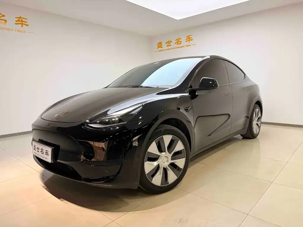 Tesla Model Y 2022 из CN, фото 1