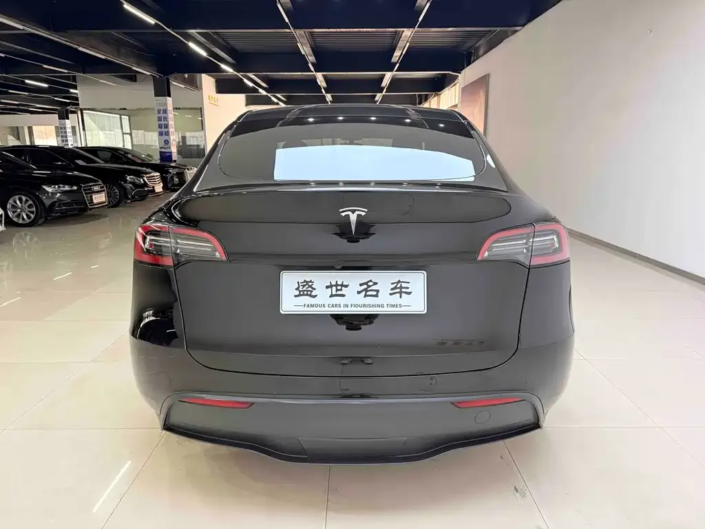 Tesla Model Y 2022 из CN, фото 9