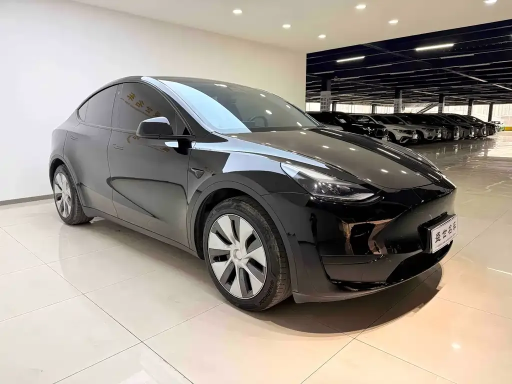 Tesla Model Y 2022 из CN, фото 2