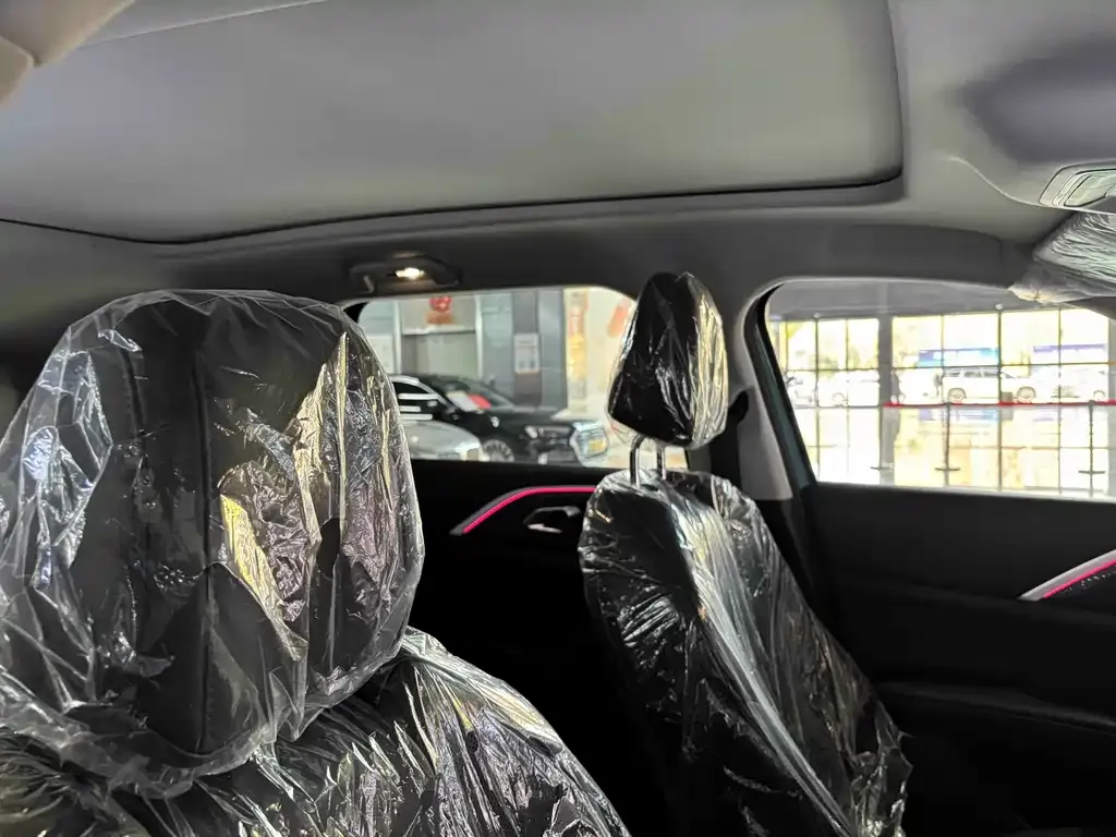 Haval Xiaolong MAX 2025 из CN, фото 7