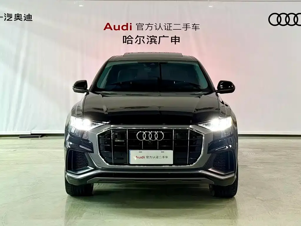Audi Q8 2023 из CN, фото 9