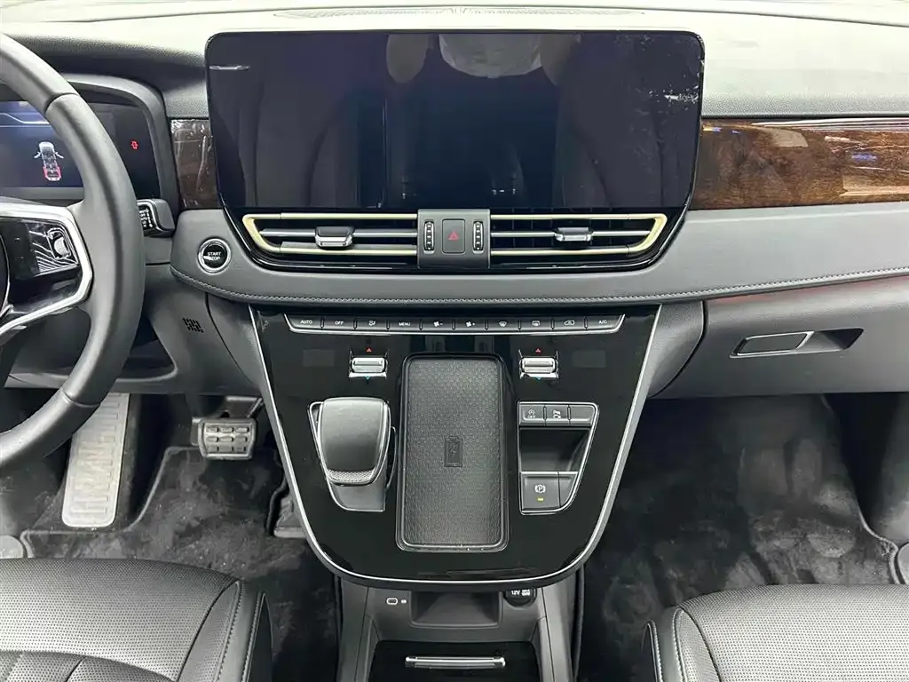 Hongqi HQ9 2023 из CN, фото 10
